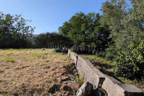 Helårsgrund i Ponte de Lima, Viana do Castelo, Ponte de Lima - € 88.000 | Ref: 254260820 - foto 14