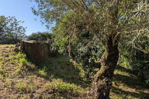 Helårsgrund i Ponte de Lima, Viana do Castelo, Ponte de Lima - € 88.000 | Ref: 254260820 - foto 15
