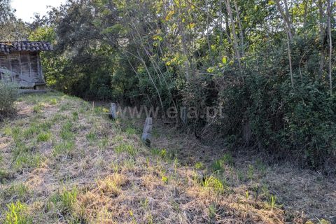 Helårsgrund i Ponte de Lima, Viana do Castelo, Ponte de Lima - € 88.000 | Ref: 254260820 - foto 16
