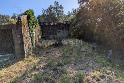 Helårsgrund i Ponte de Lima, Viana do Castelo, Ponte de Lima - € 88.000 | Ref: 254260820 - foto 17