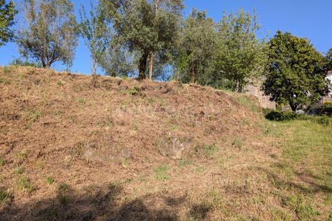 Helårsgrund i Ponte de Lima, Viana do Castelo, Ponte de Lima - € 88.000 | Ref: 254260820 - foto 18