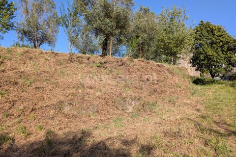 Helårsgrund i Ponte de Lima, Viana do Castelo, Ponte de Lima - € 88.000 | Ref: 254260820 - foto 19