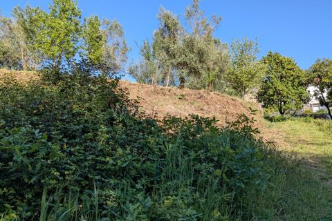 Helårsgrund i Ponte de Lima, Viana do Castelo, Ponte de Lima - € 88.000 | Ref: 254260820 - foto 20