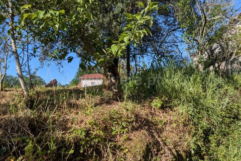 Helårsgrund i Ponte de Lima, Viana do Castelo, Ponte de Lima - € 88.000 | Ref: 254260820 - foto 21