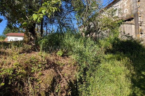 Helårsgrund i Ponte de Lima, Viana do Castelo, Ponte de Lima - € 88.000 | Ref: 254260820 - foto 22