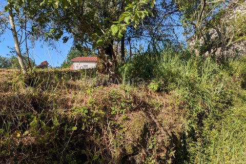 Helårsgrund i Ponte de Lima, Viana do Castelo, Ponte de Lima - € 88.000 | Ref: 254260820 - foto 23