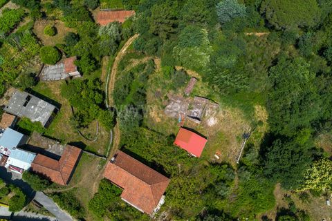 Helårsgrund i Ponte de Lima, Viana do Castelo, Ponte de Lima - € 88.000 | Ref: 254260820 - foto 24