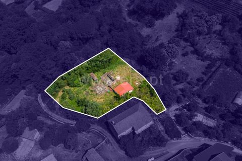 Helårsgrund i Ponte de Lima, Viana do Castelo, Ponte de Lima - € 88.000 | Ref: 254260820 - foto 26