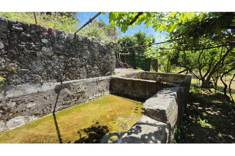 Villa a Castro Daire, Viseu, Castro Daire - € 220.000 | Ref: ALC 1440 - foto 46