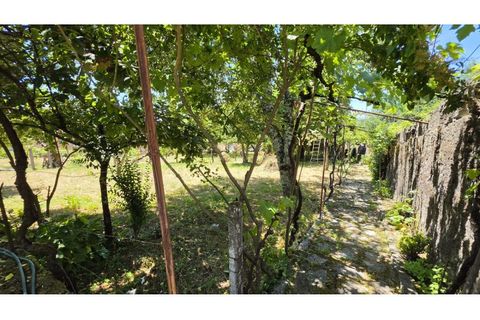 Villa a Castro Daire, Viseu, Castro Daire - € 220.000 | Ref: ALC 1440 - foto 48