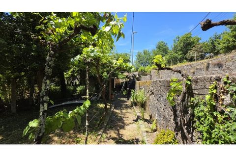 Villa a Castro Daire, Viseu, Castro Daire - € 220.000 | Ref: ALC 1440 - foto 49