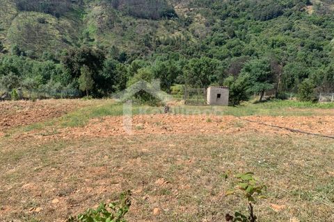 Villa em Casegas e Ourondo, Castelo Branco, Casegas e Ourondo - € 350.000 | Ref: CAS_84 - foto 13