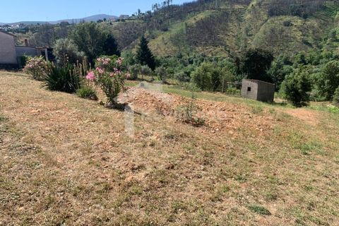 Villa em Casegas e Ourondo, Castelo Branco, Casegas e Ourondo - € 350.000 | Ref: CAS_84 - foto 14