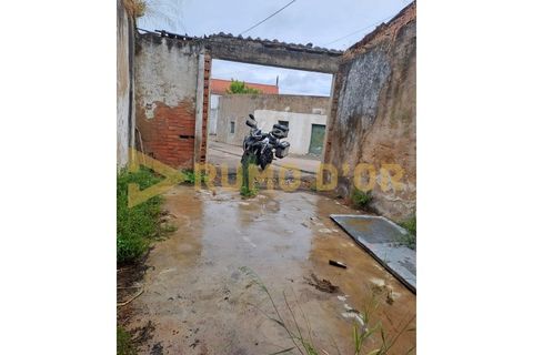 Erhvervsejendom i Alenquer, Lisbon, Alenquer - € 39.500 | Ref: TRA_506 - foto 4