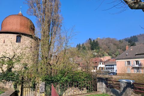 Apartament a Thann, Haut-Rhin, Thann - € 499/mes | Ref: 033907_AMU_REM2 - foto 3