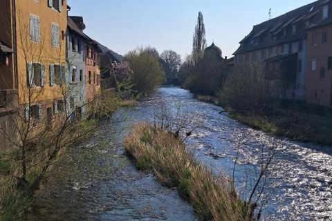 Apartament a Thann, Haut-Rhin, Thann - € 499/mes | Ref: 033907_AMU_REM2 - foto 5