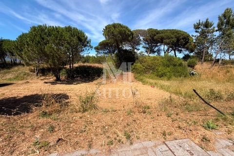 Terra em Darque, Viana do Castelo, Darque - € 65.000 | Ref: F969 - foto 1
