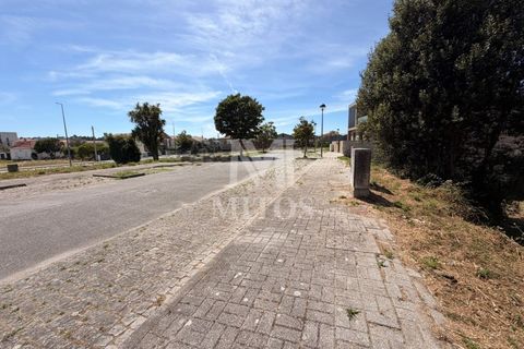Terra em Darque, Viana do Castelo, Darque - € 65.000 | Ref: F969 - foto 2