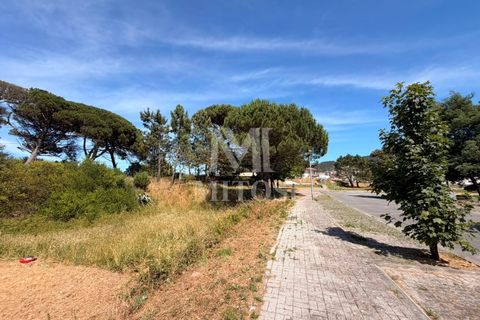 Terra em Darque, Viana do Castelo, Darque - € 65.000 | Ref: F969 - foto 3