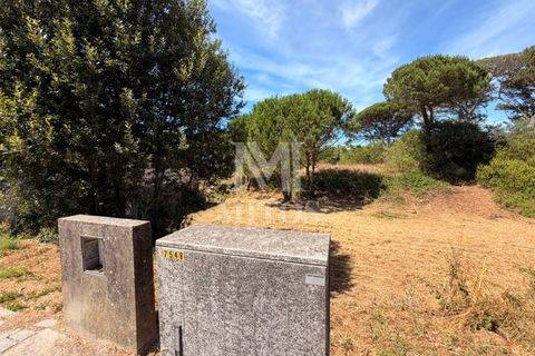 Terra em Darque, Viana do Castelo, Darque - € 65.000 | Ref: F969 - foto 4