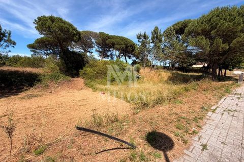 Terra em Darque, Viana do Castelo, Darque - € 65.000 | Ref: F969 - foto 5
