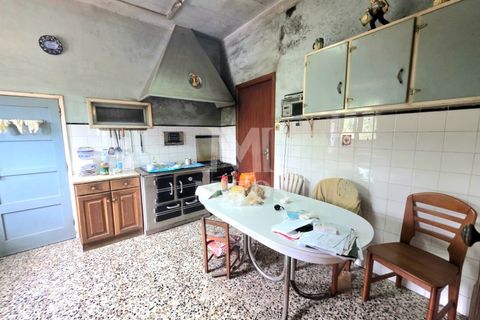 Villa i Viana do Castelo, Viana do Castelo, Viana do Castelo - € 617.000 | Ref: R1068 - foto 3