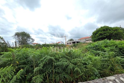 Terra em Darque, Viana do Castelo, Darque - € 280.000 | Ref: C608 - foto 3