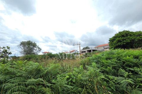 Terra em Darque, Viana do Castelo, Darque - € 280.000 | Ref: C608 - foto 4