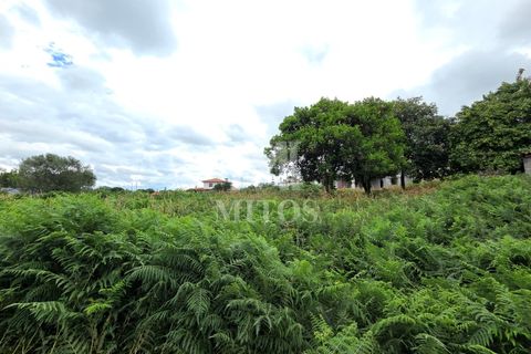 Terra em Darque, Viana do Castelo, Darque - € 280.000 | Ref: C608 - foto 5