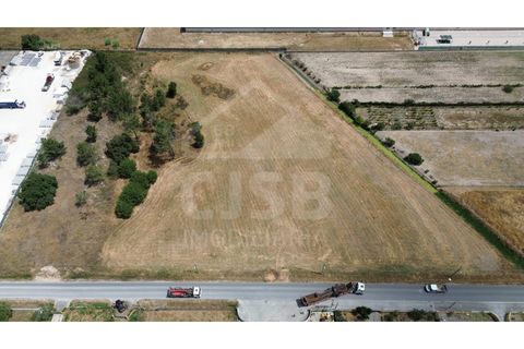 Helårsgrund i Benavente, Santarem, Benavente - € 700.000 | Ref: 547.001 - foto 2