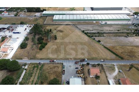 Helårsgrund i Benavente, Santarem, Benavente - € 700.000 | Ref: 547.001 - foto 3