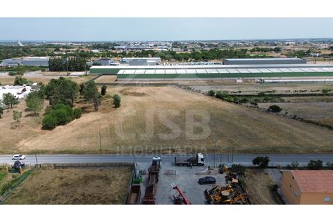 Helårsgrund i Benavente, Santarem, Benavente - € 700.000 | Ref: 547.001 - foto 4