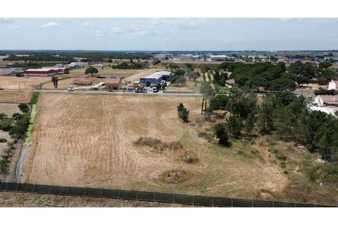 Helårsgrund i Benavente, Santarem, Benavente - € 700.000 | Ref: 547.001 - foto 5