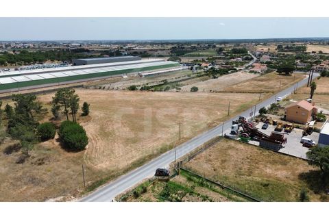 Helårsgrund i Benavente, Santarem, Benavente - € 700.000 | Ref: 547.001 - foto 6