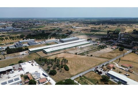 Helårsgrund i Benavente, Santarem, Benavente - € 700.000 | Ref: 547.001 - foto 7