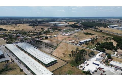 Helårsgrund i Benavente, Santarem, Benavente - € 700.000 | Ref: 547.001 - foto 8