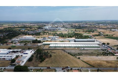Helårsgrund i Benavente, Santarem, Benavente - € 700.000 | Ref: 547.001 - foto 9