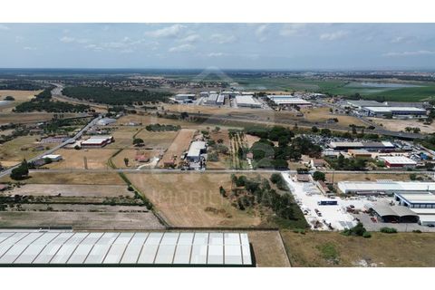 Helårsgrund i Benavente, Santarem, Benavente - € 700.000 | Ref: 547.001 - foto 10
