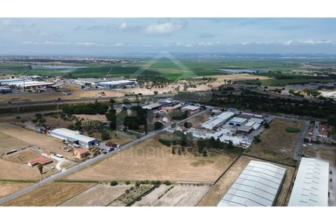 Helårsgrund i Benavente, Santarem, Benavente - € 700.000 | Ref: 547.001 - foto 12