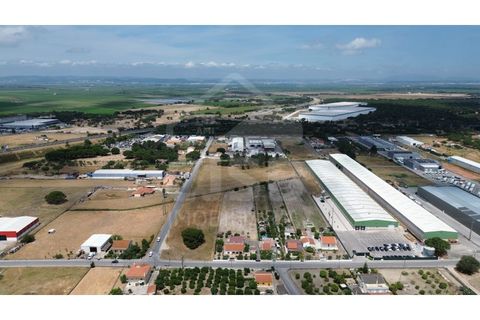 Helårsgrund i Benavente, Santarem, Benavente - € 700.000 | Ref: 547.001 - foto 13