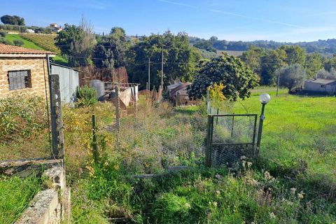 Terra a Amelia, Terni, Amelia - € 30.000 | Ref: Rife.19Bis - foto 2