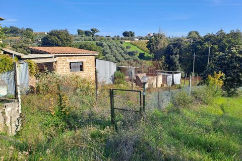 Terra a Amelia, Terni, Amelia - € 30.000 | Ref: Rife.19Bis - foto 3