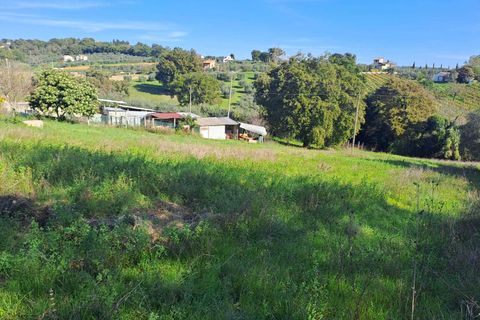 Terra a Amelia, Terni, Amelia - € 30.000 | Ref: Rife.19Bis - foto 4