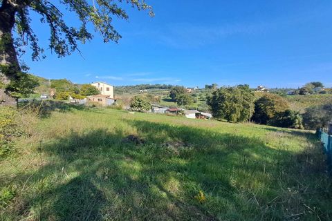 Terra a Amelia, Terni, Amelia - € 30.000 | Ref: Rife.19Bis - foto 5