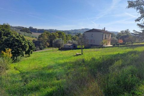Terra a Amelia, Terni, Amelia - € 30.000 | Ref: Rife.19Bis - foto 6