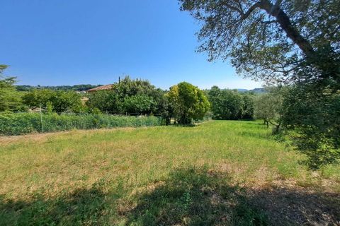 Terra a Amelia, Terni, Amelia - € 30.000 | Ref: Rife.19Bis - foto 7
