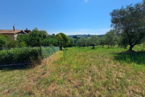 Terra a Amelia, Terni, Amelia - € 30.000 | Ref: Rife.19Bis - foto 8