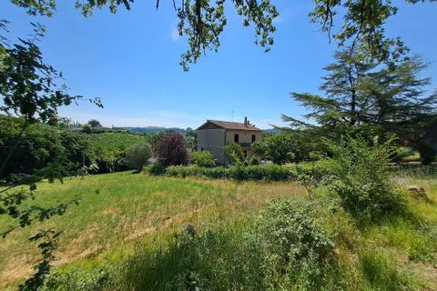 Terra a Amelia, Terni, Amelia - € 30.000 | Ref: Rife.19Bis - foto 10