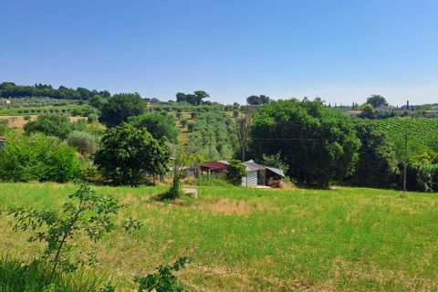 Terra a Amelia, Terni, Amelia - € 30.000 | Ref: Rife.19Bis - foto 11