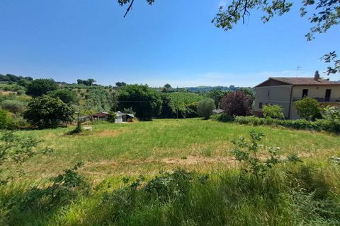 Terra a Amelia, Terni, Amelia - € 30.000 | Ref: Rife.19Bis - foto 12